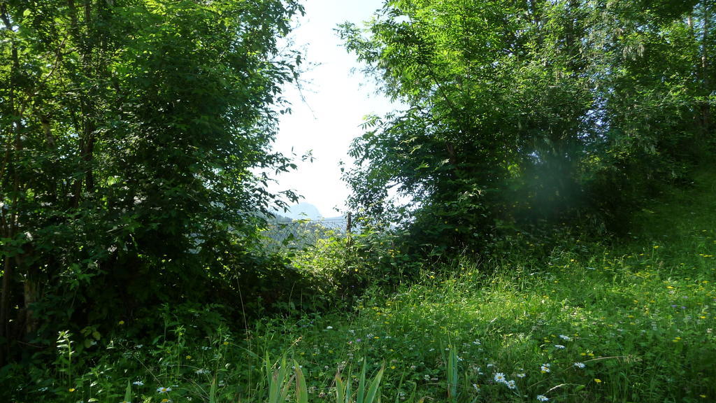 La Chouette A L'Heure Du Pinson Bed & Breakfast Saint-Pierre-d'Entremont  Екстериор снимка